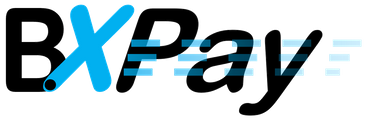 BX Pay logo